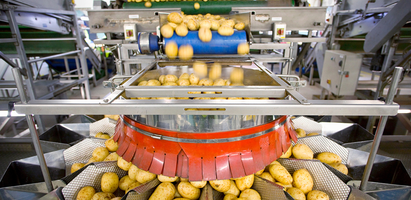 Een aardappelverwerkingsfabriek met veel aardappelen